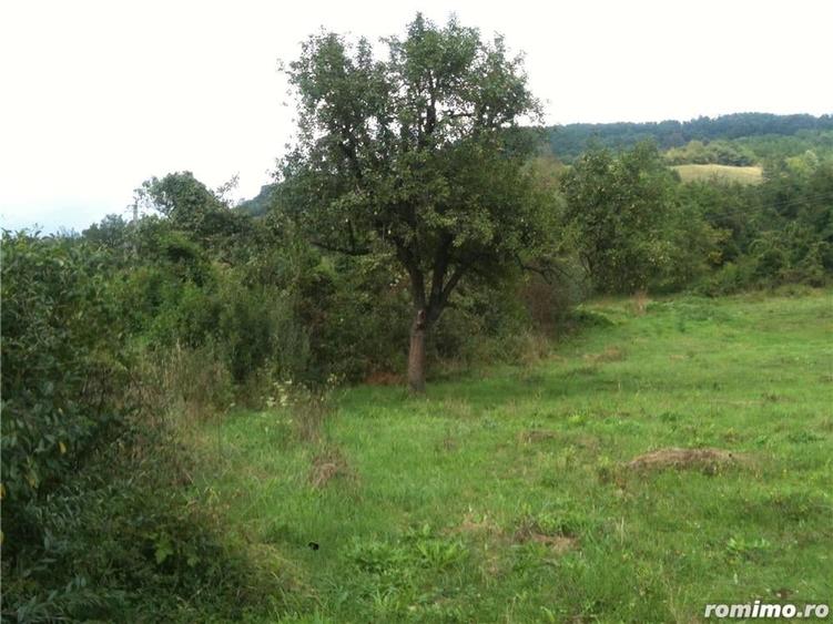 Teren de 14000 mp, în Central