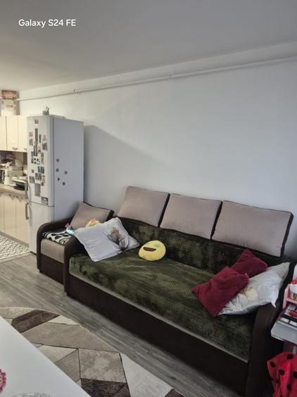 Apartament cu 2 camere decomandat, mobilat în Exterior Est
