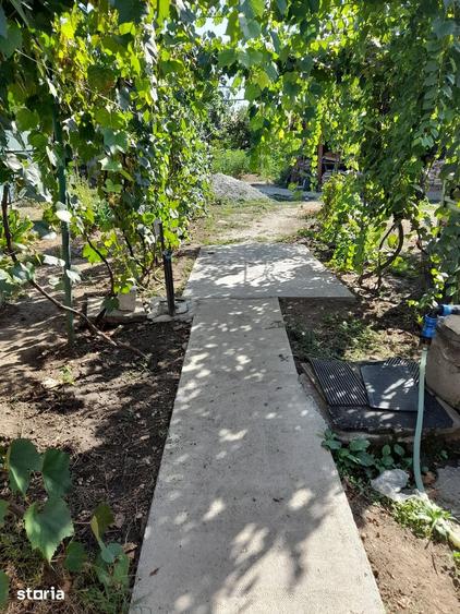 Casă cu 3 camere cu Teren 1000 Mp în Robănești