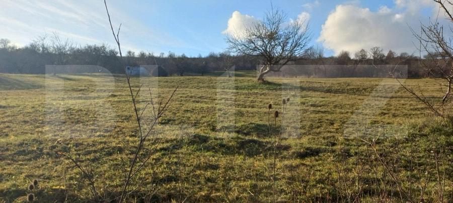 Teren Construcții intravilan de 9200 mp, în Unirea
