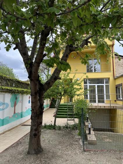 Casă cu 8 camere cu Teren 365 Mp în Tineretului