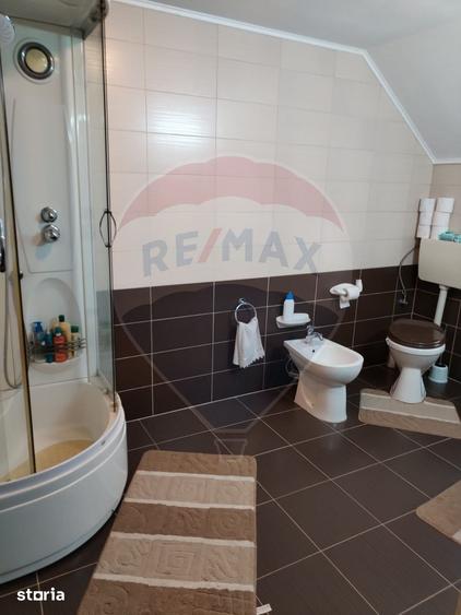 Casa individuala, teren 3275 mp, 6 camere, livada cu pomi fructiferi - 10