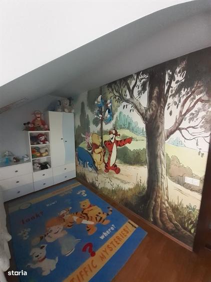 Casă cu 4 camere cu Teren 19200 Mp în Creaca
