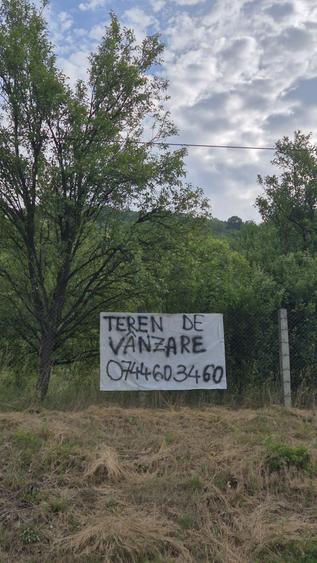 Spațiu comercial, în Nicula