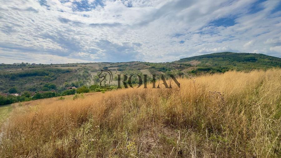 Teren agricol extravilan de 4000 mp, în Cricău