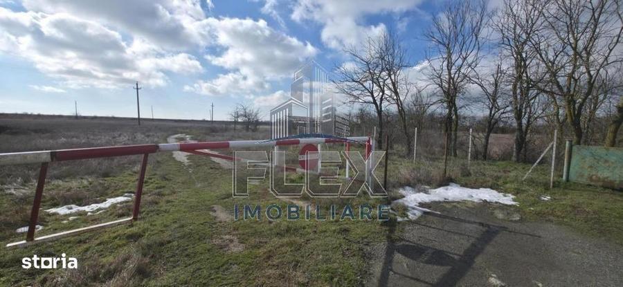 Teren de 38300 mp, în Valea Nucarilor
