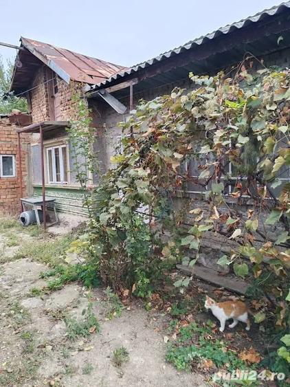Casă cu 5 camere cu Teren 1300 Mp în Crivina