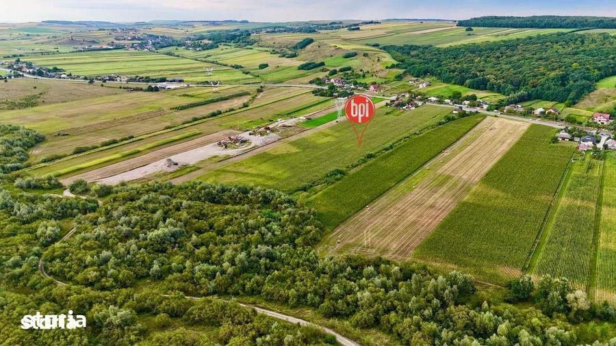 Teren de 10500 mp, în Forăști