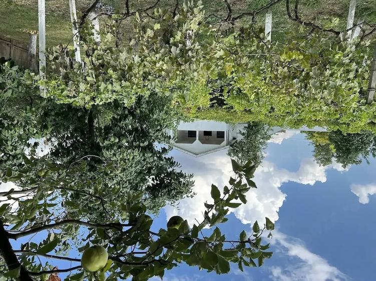 Casă cu Teren 600 Mp în Central
