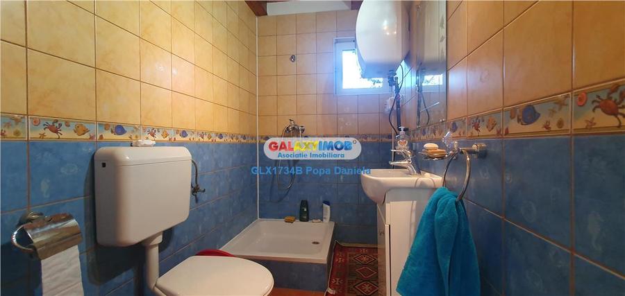 Casă cu 5 camere cu Teren 2400 Mp în Sărulești
