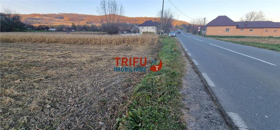 Teren Construcții intravilan de 1000 mp, în Ampoița