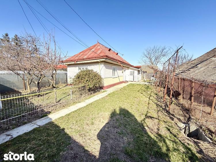 Filipesti - E85 - casa ?i 2000 mp teren - 8