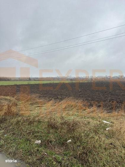 Spațiu comercial, în Lumina