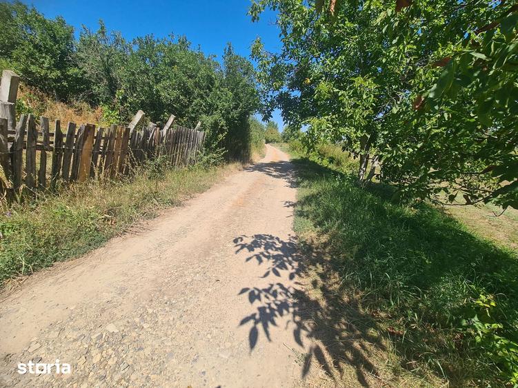 Teren de 5000 mp, în Cașin