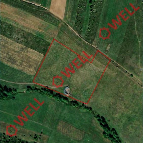 Teren agricol extravilan de 30000 mp, în Micloșoara