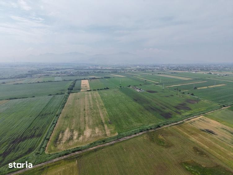 Teren de 52700 mp, în Stupini