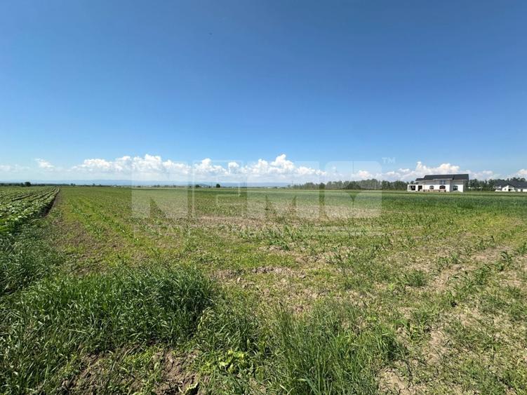 Teren agricol extravilan de 5300 mp, în Frătăuții Vechi