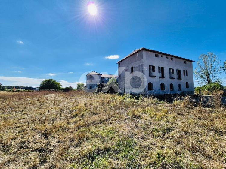 Teren Construcții de 5000 mp, în Ciolpani