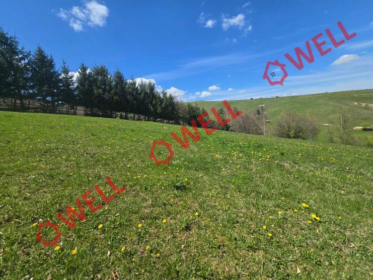 Teren extravilan de 8157 mp, în Sita Buzăului