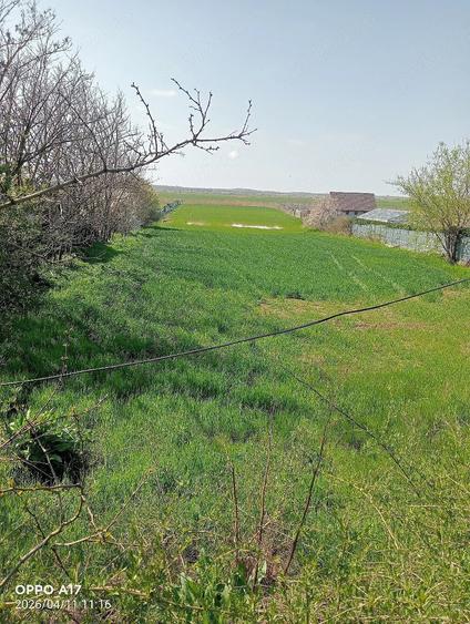 Teren de 6300 mp, în Vasile Alecsandri