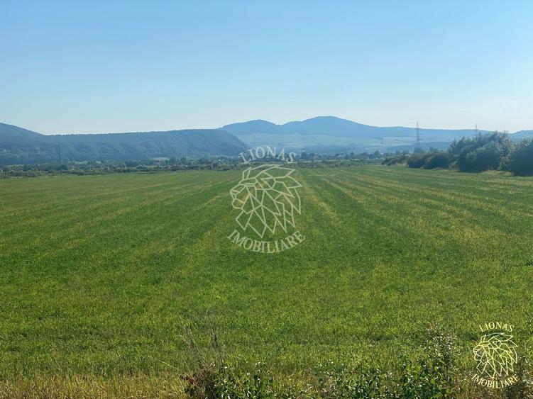 Teren agricol extravilan de 3000 mp, în Șieu-Măgheruș