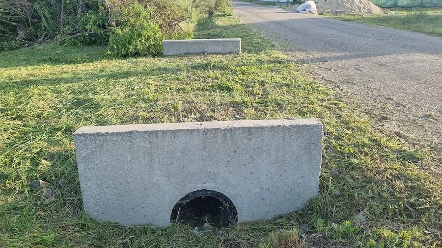 Teren de 801 mp, în Frumușeni