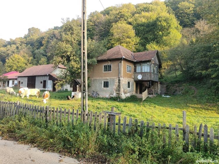 Casă cu 4 camere cu Teren 7000 Mp în Almașu Mare