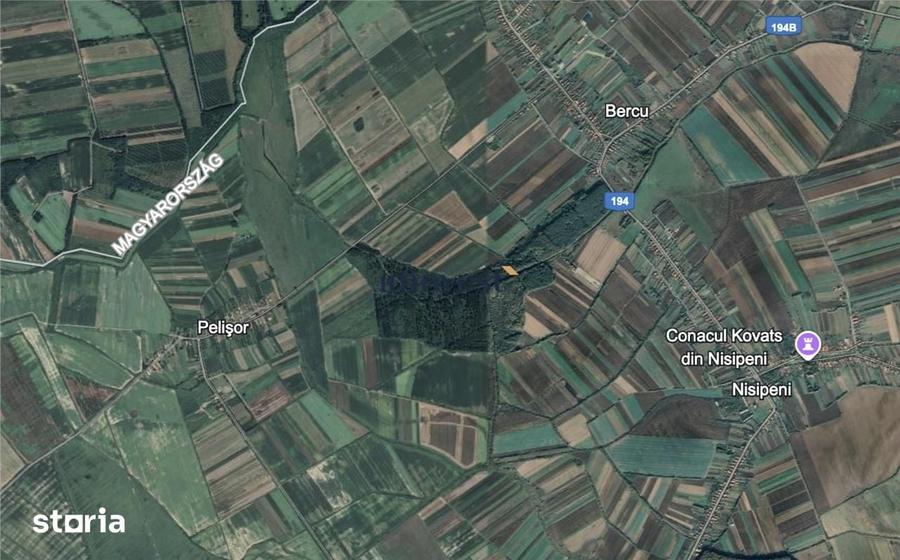 Teren de 10000 mp, în Lazuri