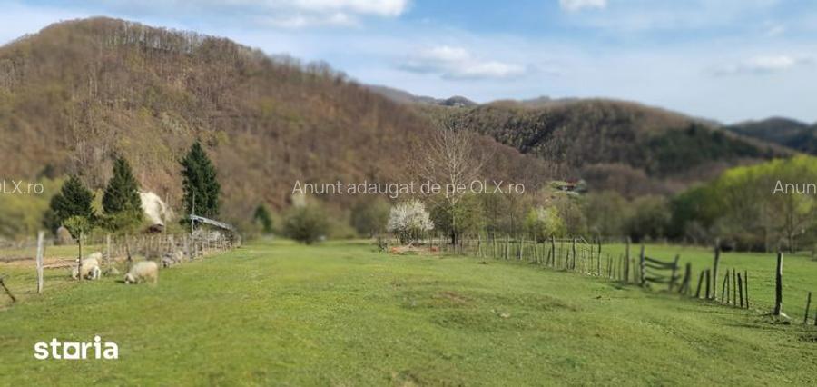 Teren intravilan Closani, 8674 mp pensiune/ casa vacanta