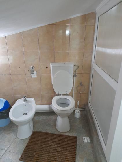 Casă cu 4 camere în Lepșa
