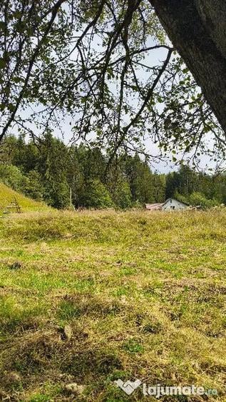 Teren de 4080 mp, în Valea Doftanei