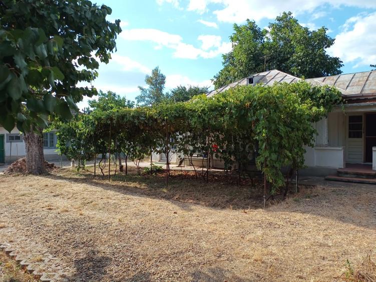 Casă cu 3 camere cu Teren 2400 Mp în Mircea Vodă