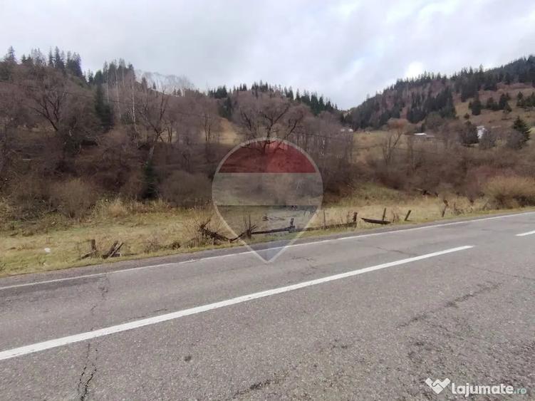 Teren în Rusca