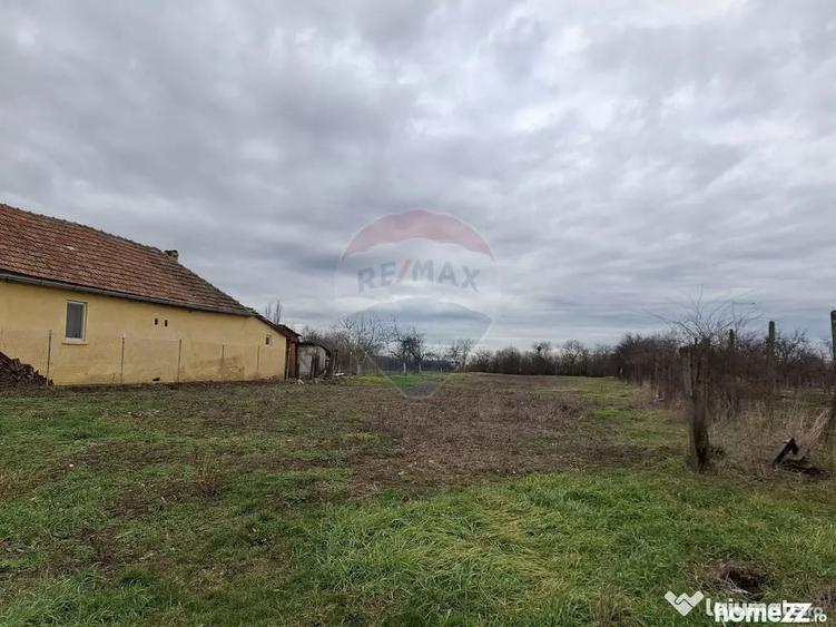 Teren în Frumușeni