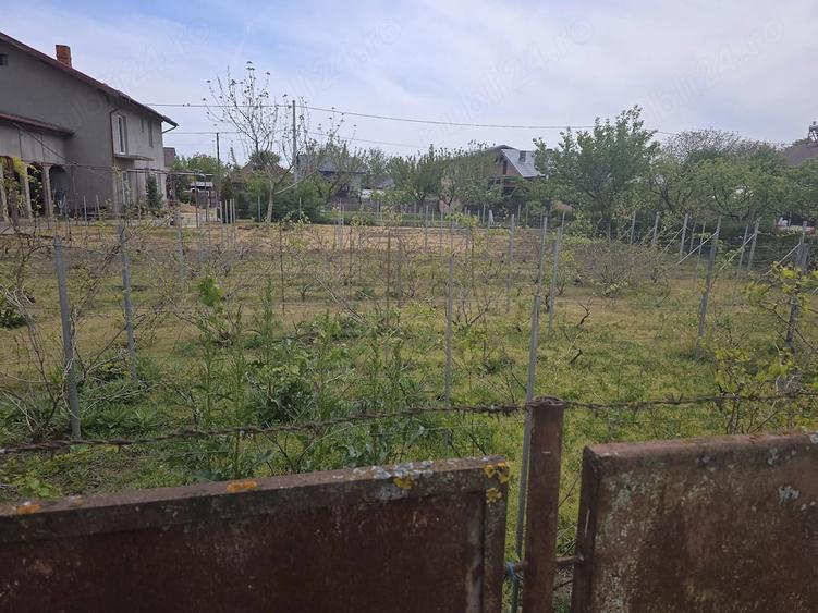 Teren de 746 mp, în Grădiștea
