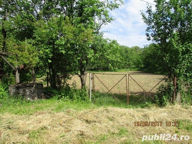 Teren de 1270 mp, în Drajna