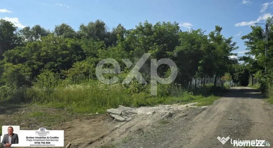Teren în Viforâta
