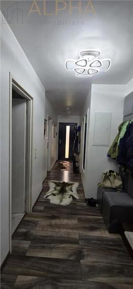 Casă cu Teren 1450 Mp în Viișoara