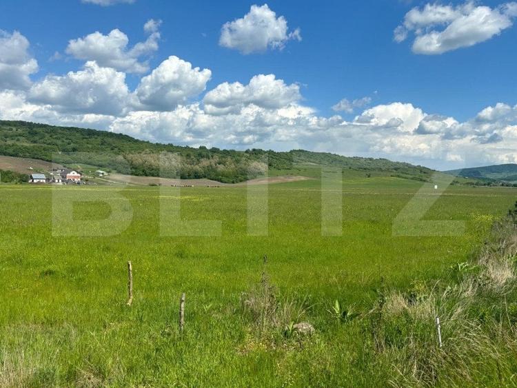 Teren Construcții extravilan de 29000 mp, în Exterior Sud