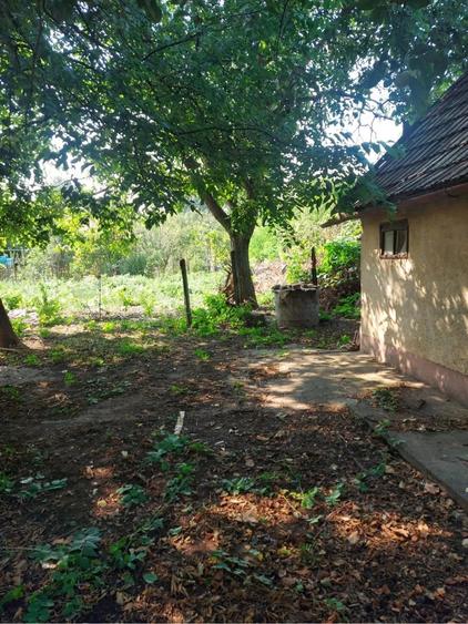 Casă cu 3 camere cu Teren 500 Mp în 6 Vânători