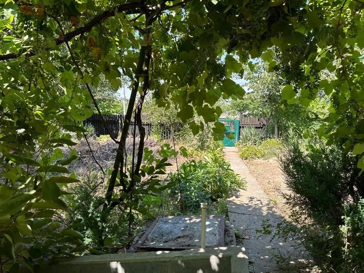 Casă cu 5 camere cu Teren 1100 Mp în Oltina