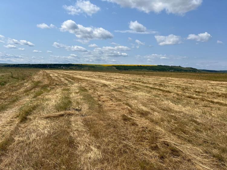 Teren de 29300 mp, în Lețcani