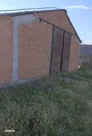 Teren de 60532 mp, în Giulvăz