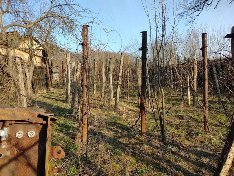 Casă cu 3 camere în Licurici