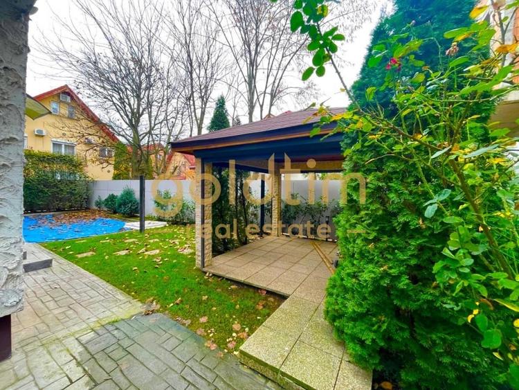 CASA INDIVIDUALA/SUPERBA/PIPERA/EROU IANCU NICOLAE/PISCINA/CURTE GENEROASA - 18