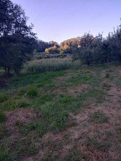 Teren de 9800 mp, în Pietrari
