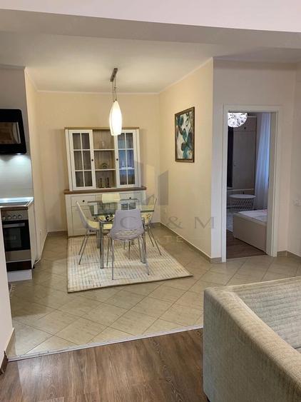 Apartament 3 camere de inchiriat Complex Studen #539;esc , 74 mp si teras #226; - 10