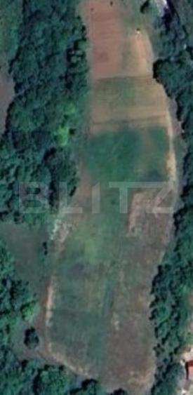 Teren agricol extravilan de 7000 mp, în Boiu
