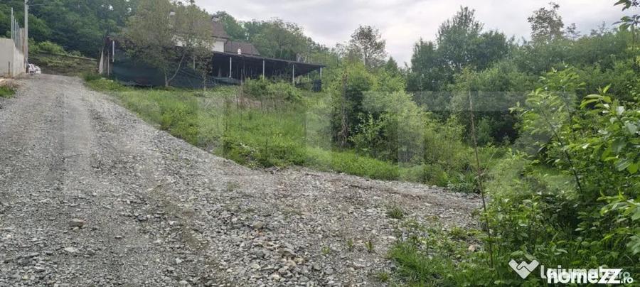 Teren intravilan de vanzare - 813 mp Valea Jelnei - 1