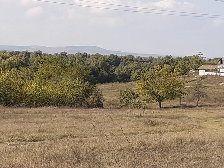 Teren Construcții intravilan de 3269 mp, în Central